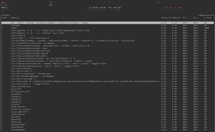 bottom in basic display mode, with processes grouped and displaying full commands and network usage in bytes